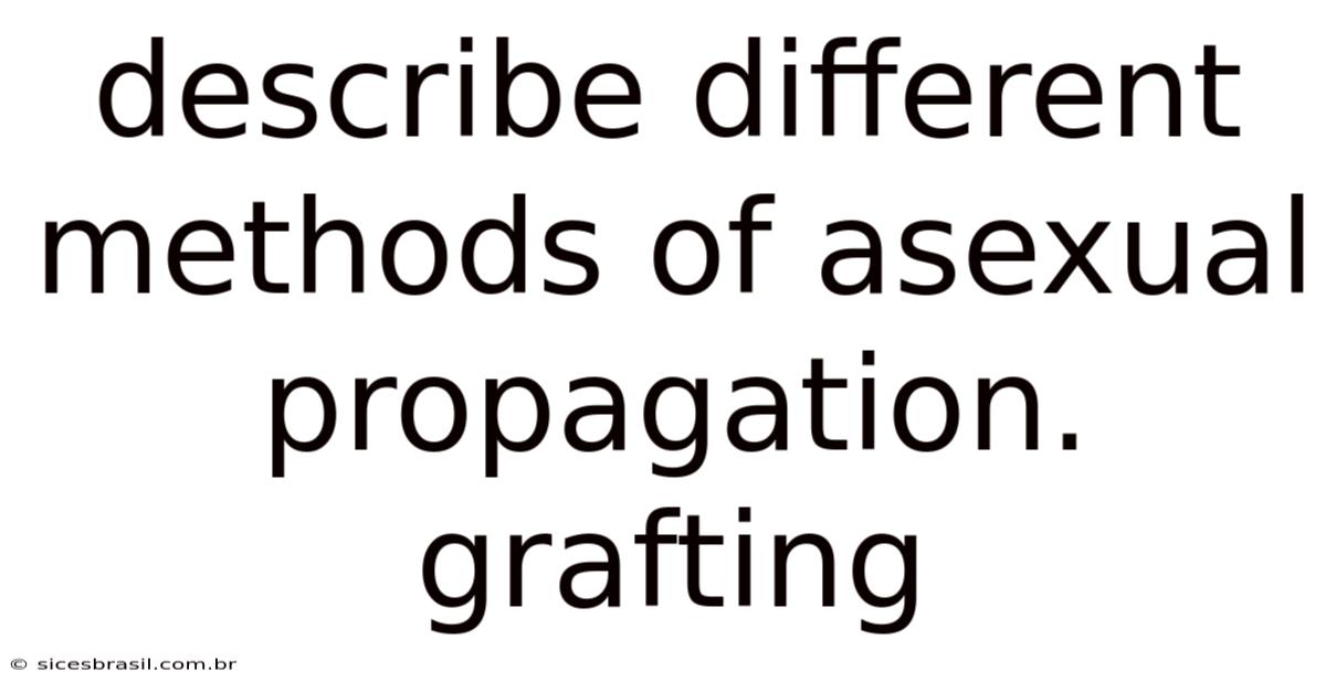 Describe Different Methods Of Asexual Propagation. Grafting