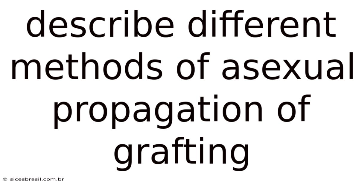 Describe Different Methods Of Asexual Propagation Of Grafting