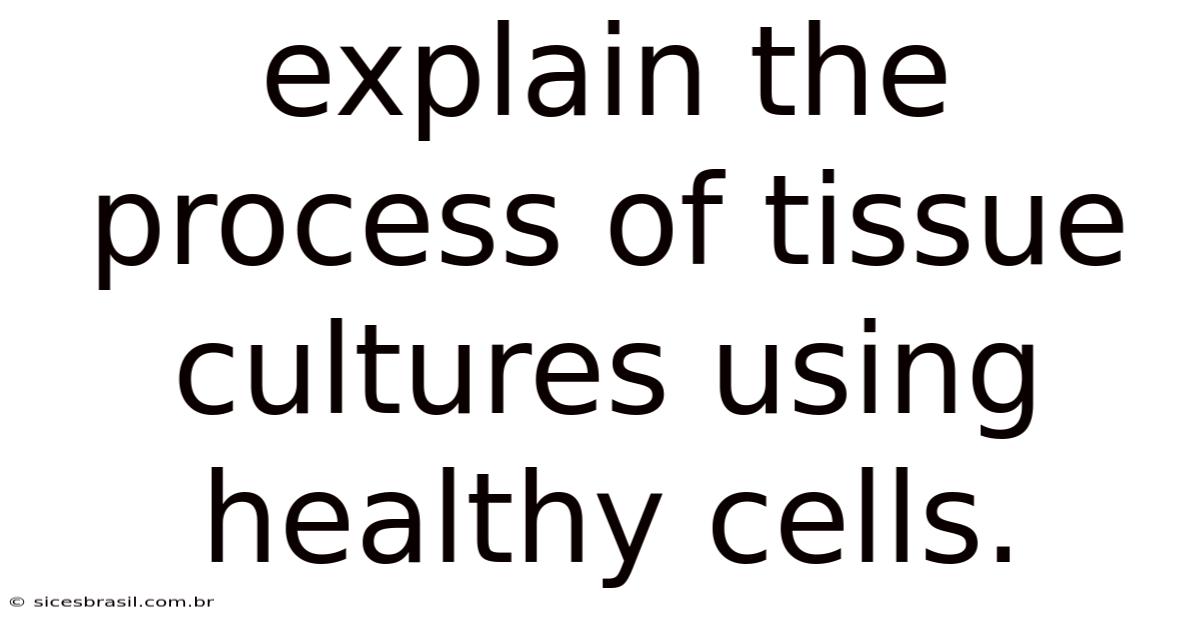 Explain The Process Of Tissue Cultures Using Healthy Cells.