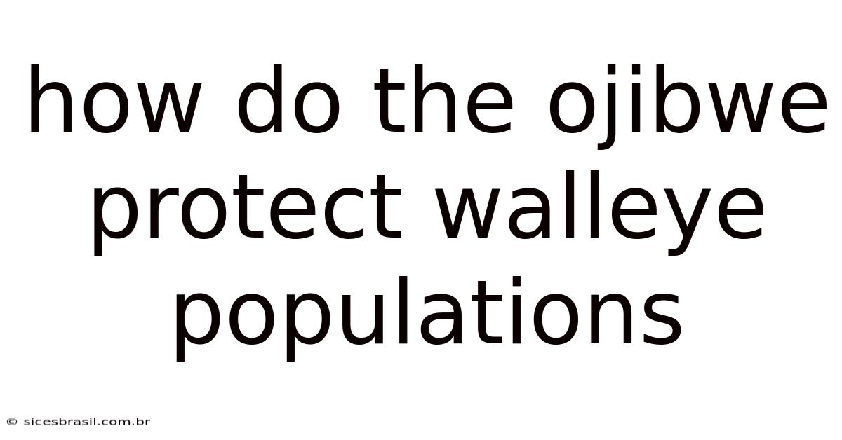 How Do The Ojibwe Protect Walleye Populations