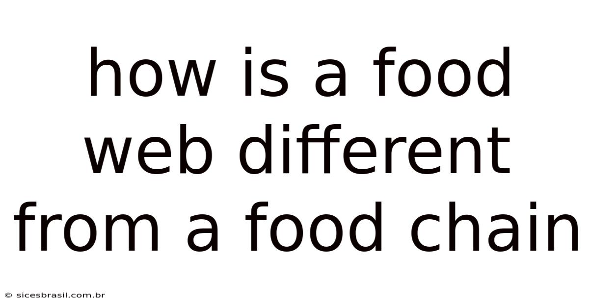How Is A Food Web Different From A Food Chain