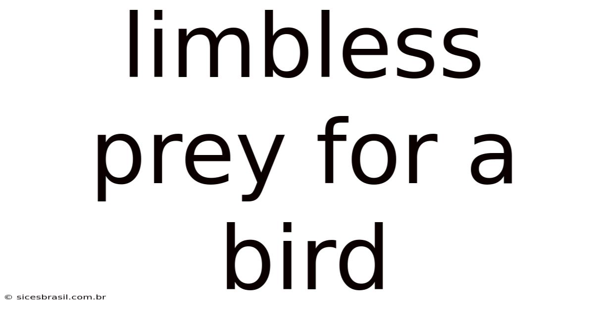 Limbless Prey For A Bird