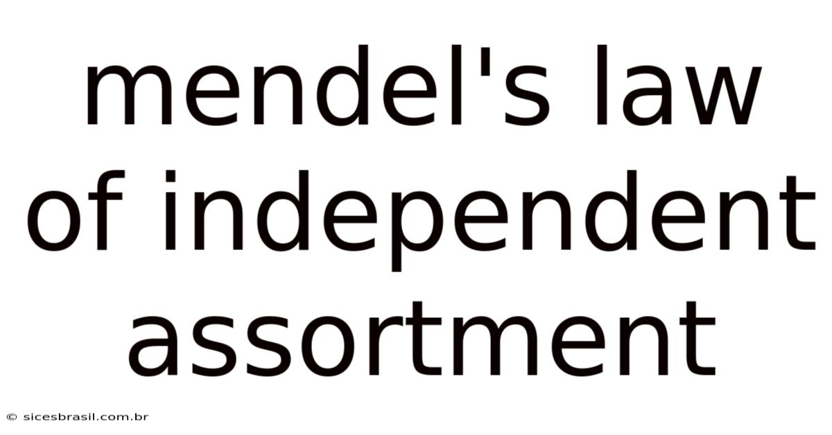 Mendel's Law Of Independent Assortment