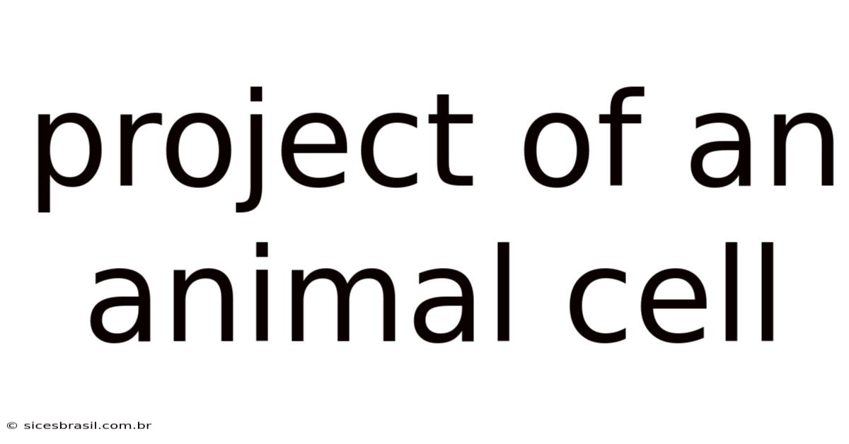 Project Of An Animal Cell