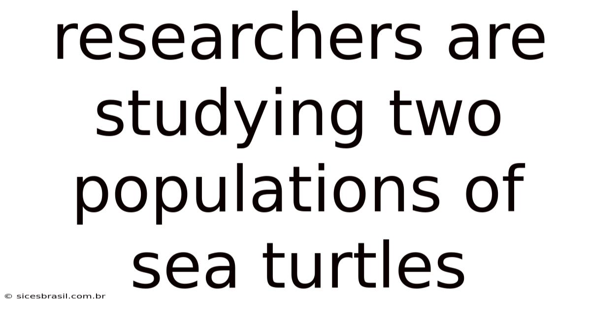 Researchers Are Studying Two Populations Of Sea Turtles