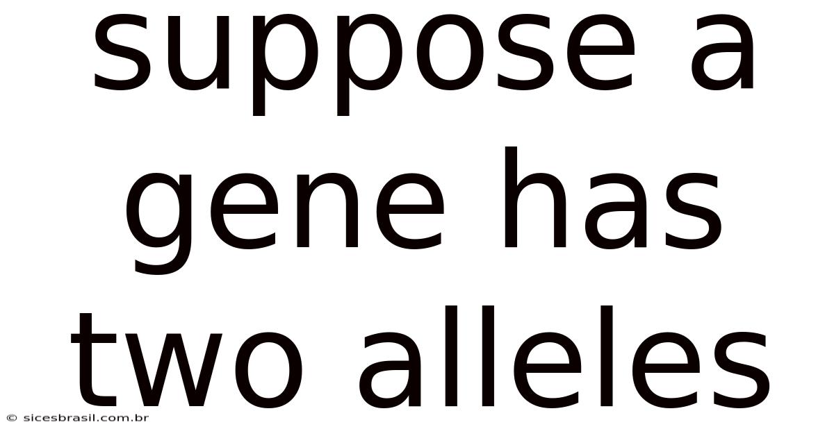 Suppose A Gene Has Two Alleles