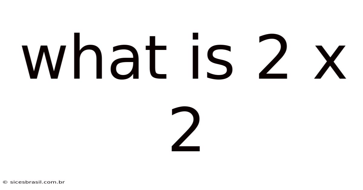 What Is 2 X 2