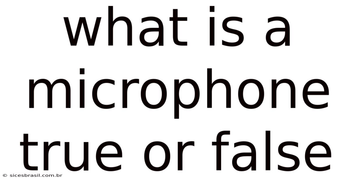 What Is A Microphone True Or False
