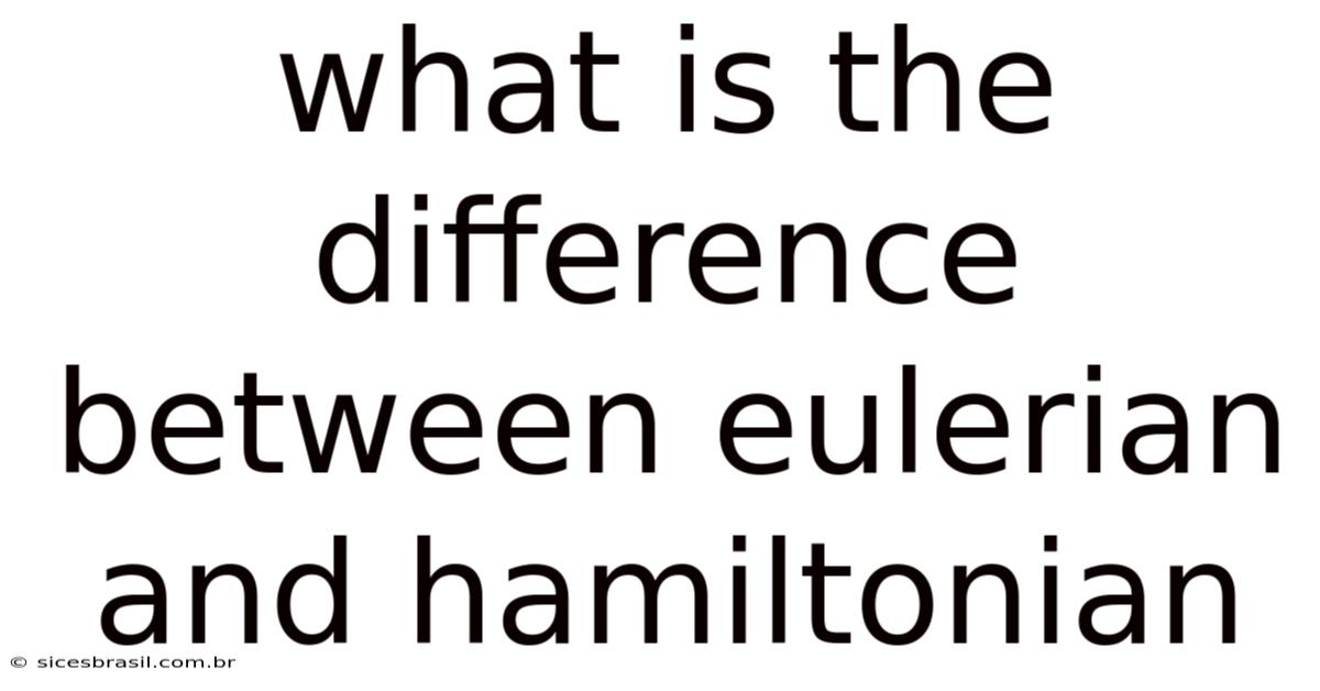 What Is The Difference Between Eulerian And Hamiltonian