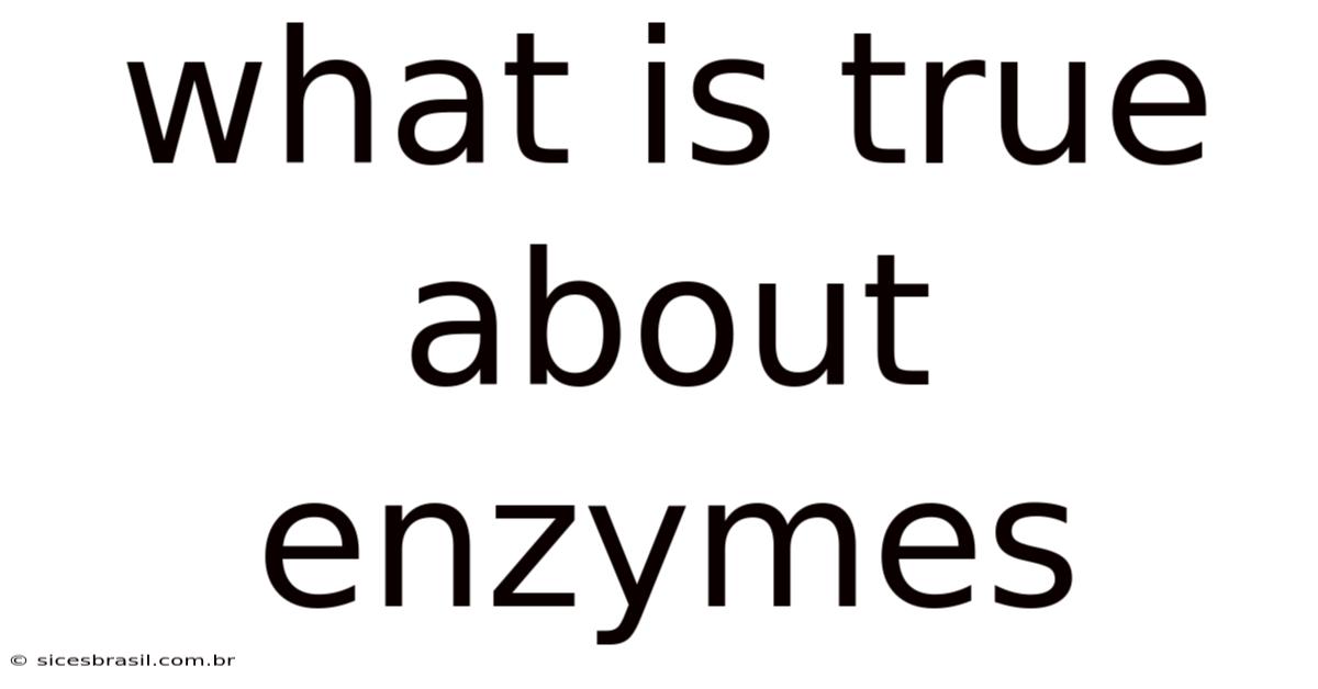 What Is True About Enzymes