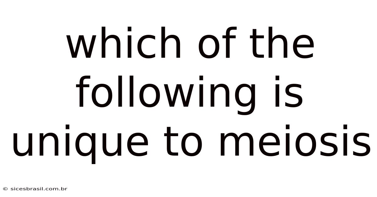 Which Of The Following Is Unique To Meiosis